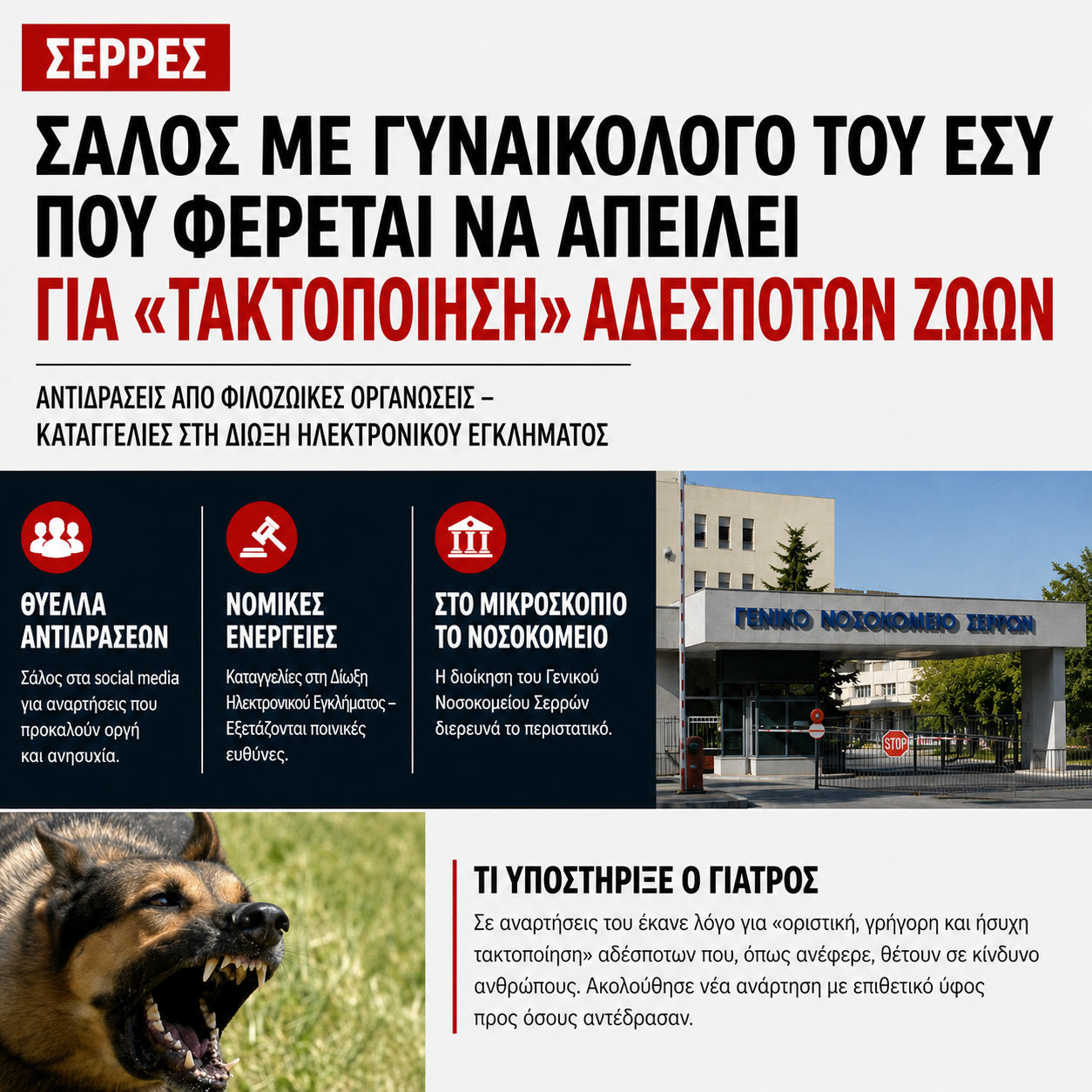 Σέρρες: Θύελλα αντιδράσεων για αναρτήσεις γυναικολόγου που φέρεται να υπηρετεί στο ΕΣΥ περί «οριστικής αντιμετώπισης» αδέσποτων